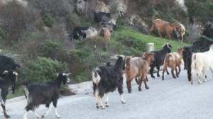 Sithonia