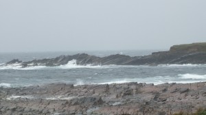 DSCF7767