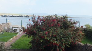DSCF7961
