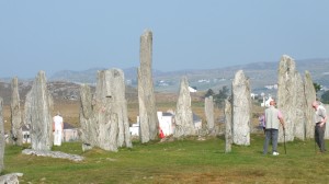 DSCF8126