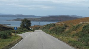 DSCF8535