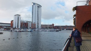 Hafen und Maritim Tower