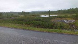 DSCF2573